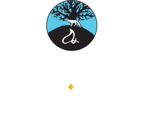 Foxwoods Casino & Resort logo