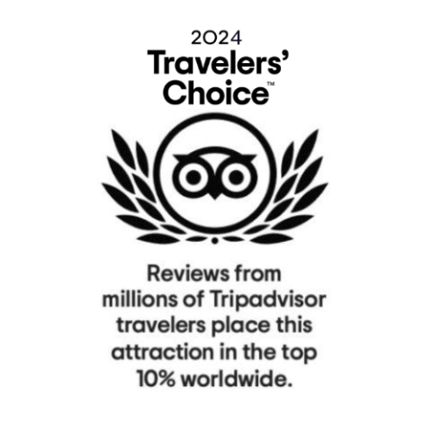 TripAdvisor logo